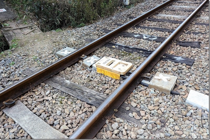 森のトンネルの先に列車 撮影時は踏切横断に注意