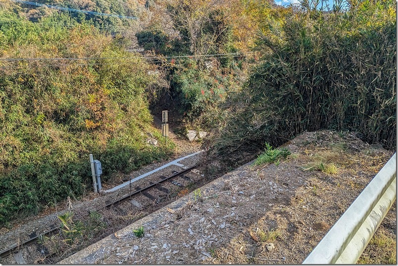森のトンネルの先を列車 観光地としては？ 大分県豊後大野市犬飼町