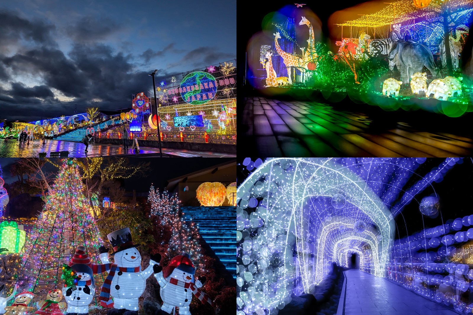 【2026年1月】道の駅 おおとう桜街道イルミネーションを写真レポ！点灯時間・開催期間はいつまで？