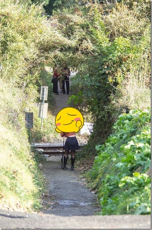 森のトンネルの先に列車 撮影スポット 神社側から撮影