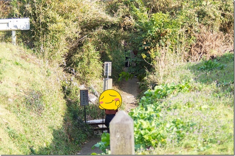 森のトンネルの先に列車 撮影スポット 神社側から撮影