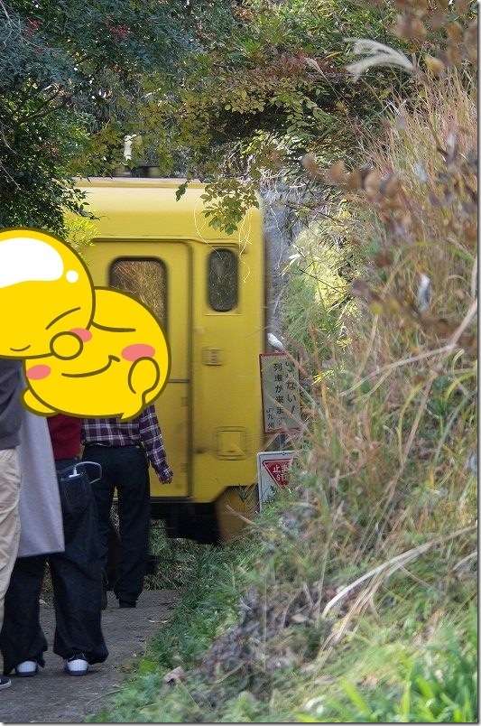 森のトンネルの先を黄色い普通列車 豊肥線 大分県豊後大野市犬飼町