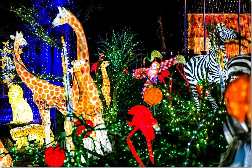道の駅 おおとう桜街道のイルミネーション 動物のイルミネーション キリン、シマウマ、フラミンゴ、ライオン、トラ 道の駅 おおとう桜街道のイルミネーション 動物のイルミネーション キリン、シマウマ、フラミンゴ、ライオン、トラ