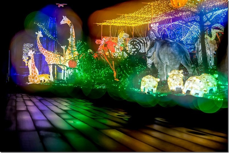 道の駅 おおとう桜街道のイルミネーション 動物のイルミネーション キリン、シマウマ、ゾウ 道の駅 おおとう桜街道のイルミネーション 動物のイルミネーション キリン、シマウマ、ゾウ