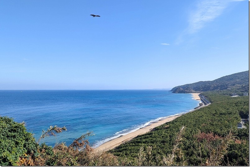 鐘崎海水浴場や黒崎鼻を見下ろす展望スポット 福岡県宗像市鐘崎の織幡神社から見た青空とトンビ 鐘崎海水浴場や黒崎鼻を見下ろす展望スポット 福岡県宗像市鐘崎の織幡神社から見た青空とトンビ