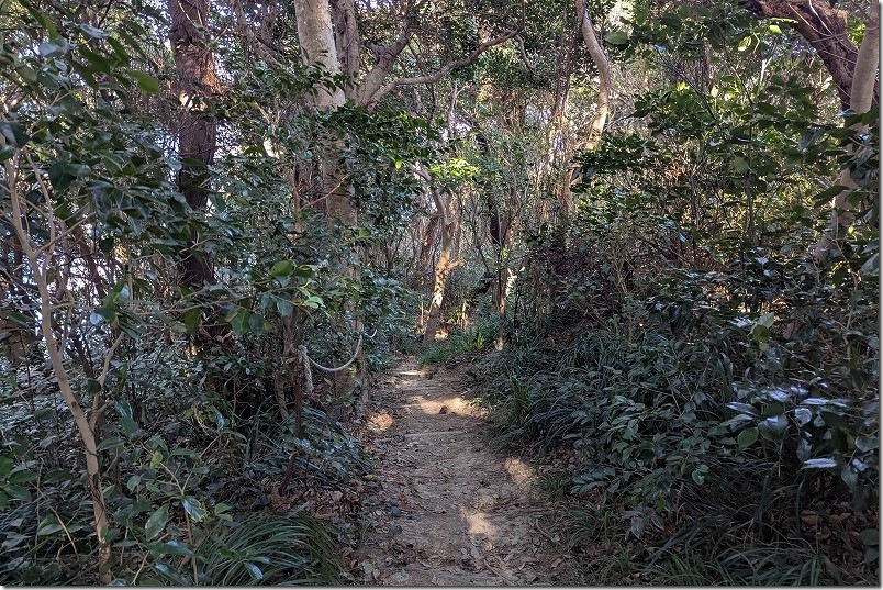 沖ノ島展望所へ佐屋形山頂上から下る