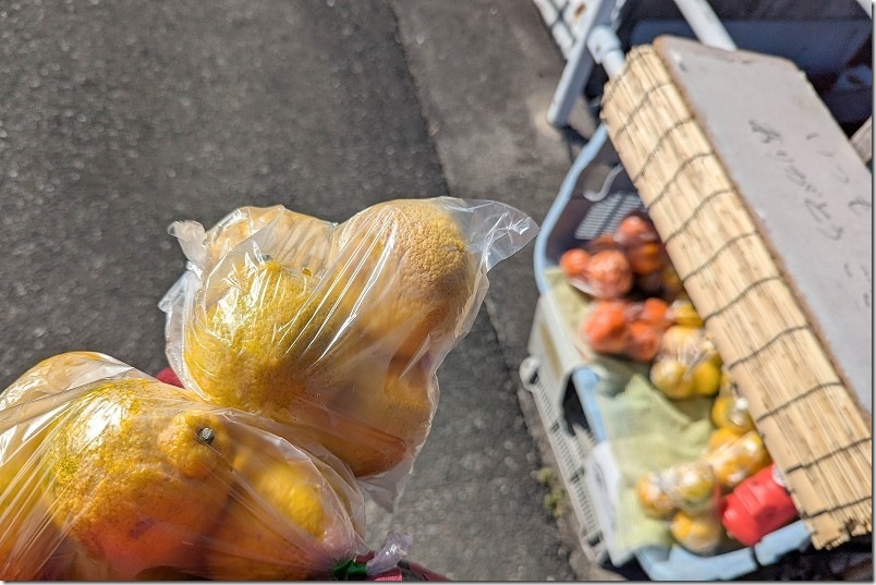 ゆらりんこ橋から少し下ったところで発見 100円のみかん無人販売所