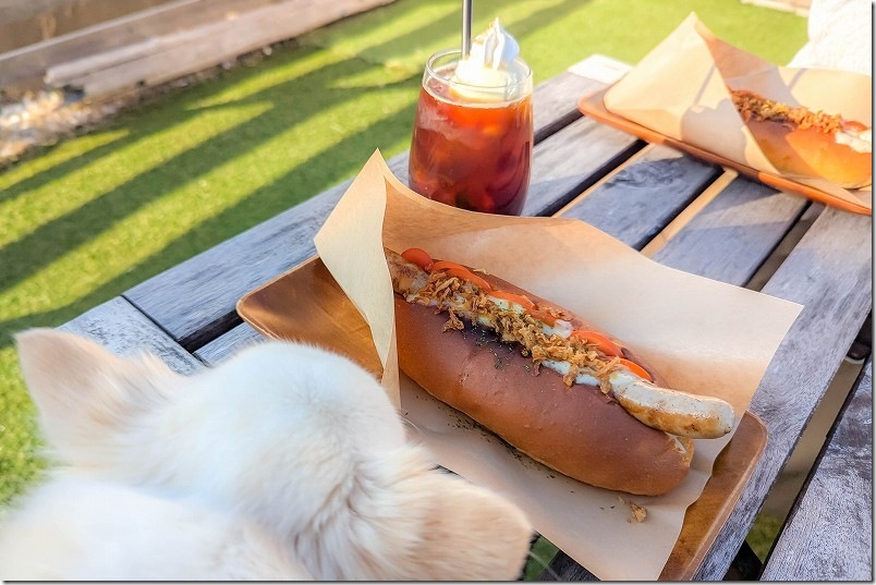 外は犬もOKでした 糸島・芥屋の「Oot Dog（オオトドッグ）」 