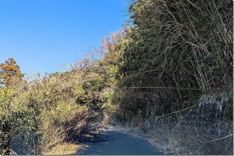 魚見台公園 海沿いの国道202号線から登る道は厳しい【普通車・軽自動車注意】