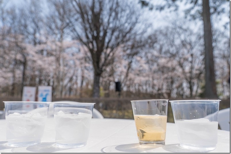 いいちこ日田蒸留所「春の蔵開き 2026」｜満開の桜で花見酒