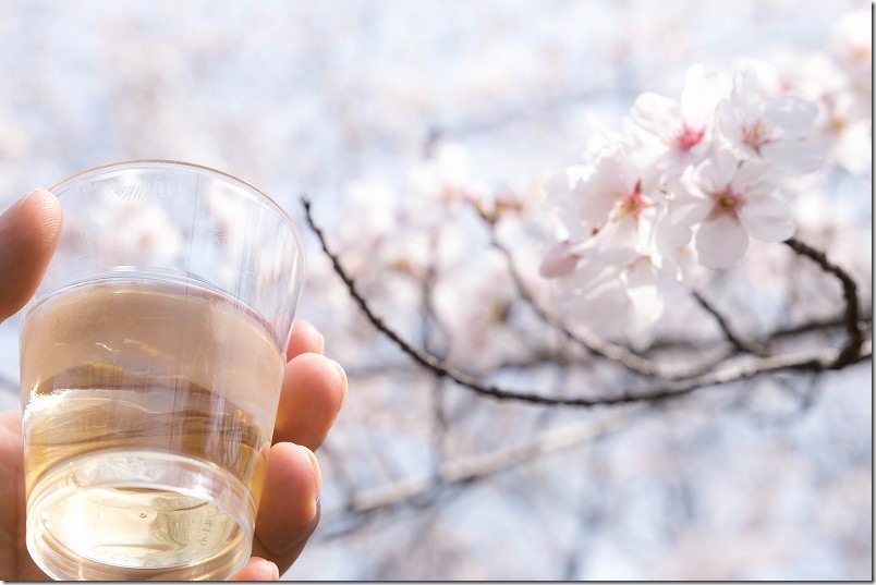 いいちこ日田蒸留所「春の蔵開き」満開の桜の下で三和酒類株式会社の各種焼酎や梅酒