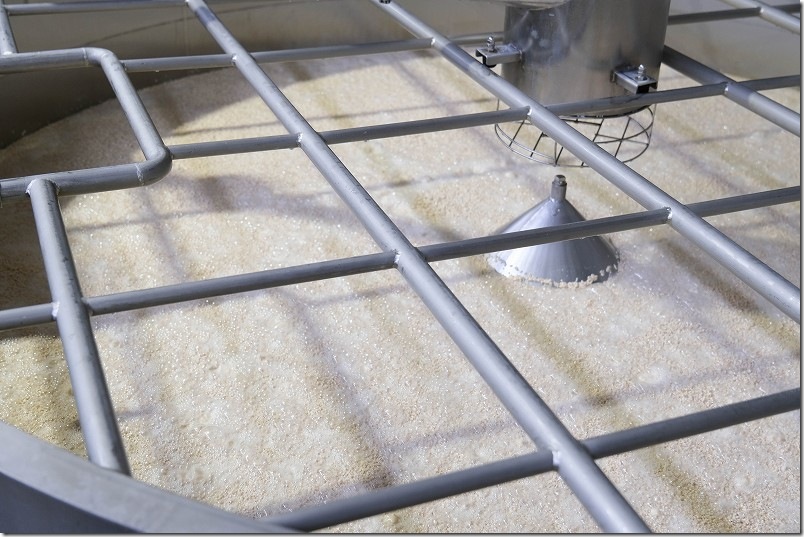 日田蒸留所 春の蔵開き 蔵人ガイドツアー（要予約）