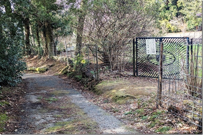 2026年も初御代桜は閉園中 今シーズンは閉園します。立入禁止 2026年も初御代桜は閉園中 今シーズンは閉園します。立入禁止