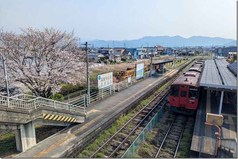 うきは駅の桜|停車中の列車と桜 うきは駅の桜|停車中の列車と桜