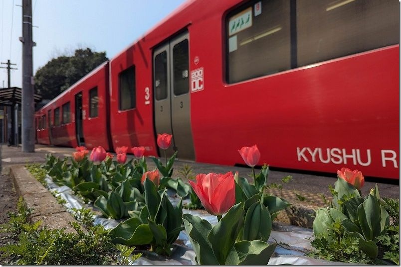 久大本線 夜明駅|列車とチューリップ 久大本線 夜明駅|列車とチューリップ