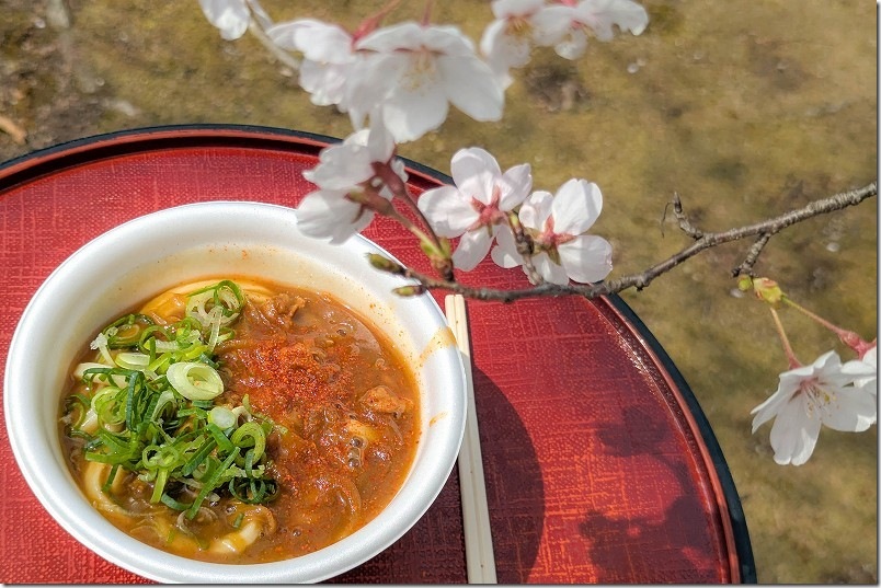 日田蒸留所 春の蔵開きの出店で頂いた食べ物。桜の下でカレーうどん