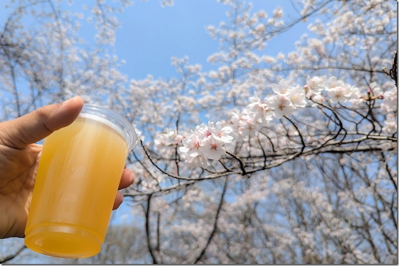 いいちこ日田蒸留所「春の蔵開き」満開の桜とクラフトビール
