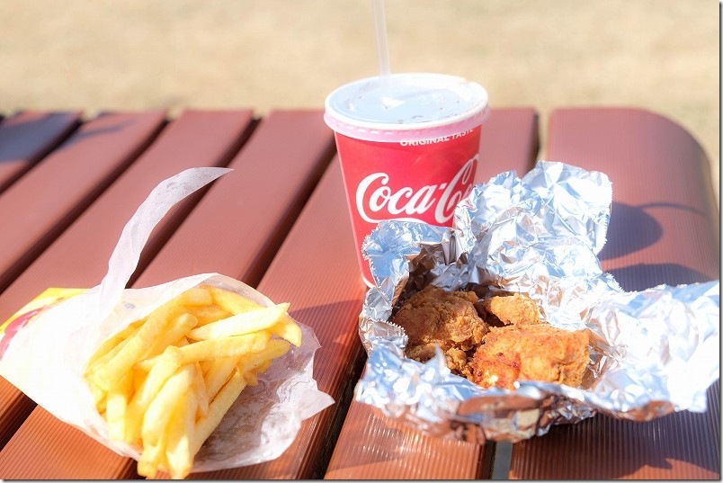 西海の丘公園の河津桜と佐世保バーガーでピクニック(佐世保バーガー店「らりるれろ」のBセット1110円)
