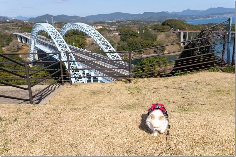 西海の丘展望台を犬と散歩