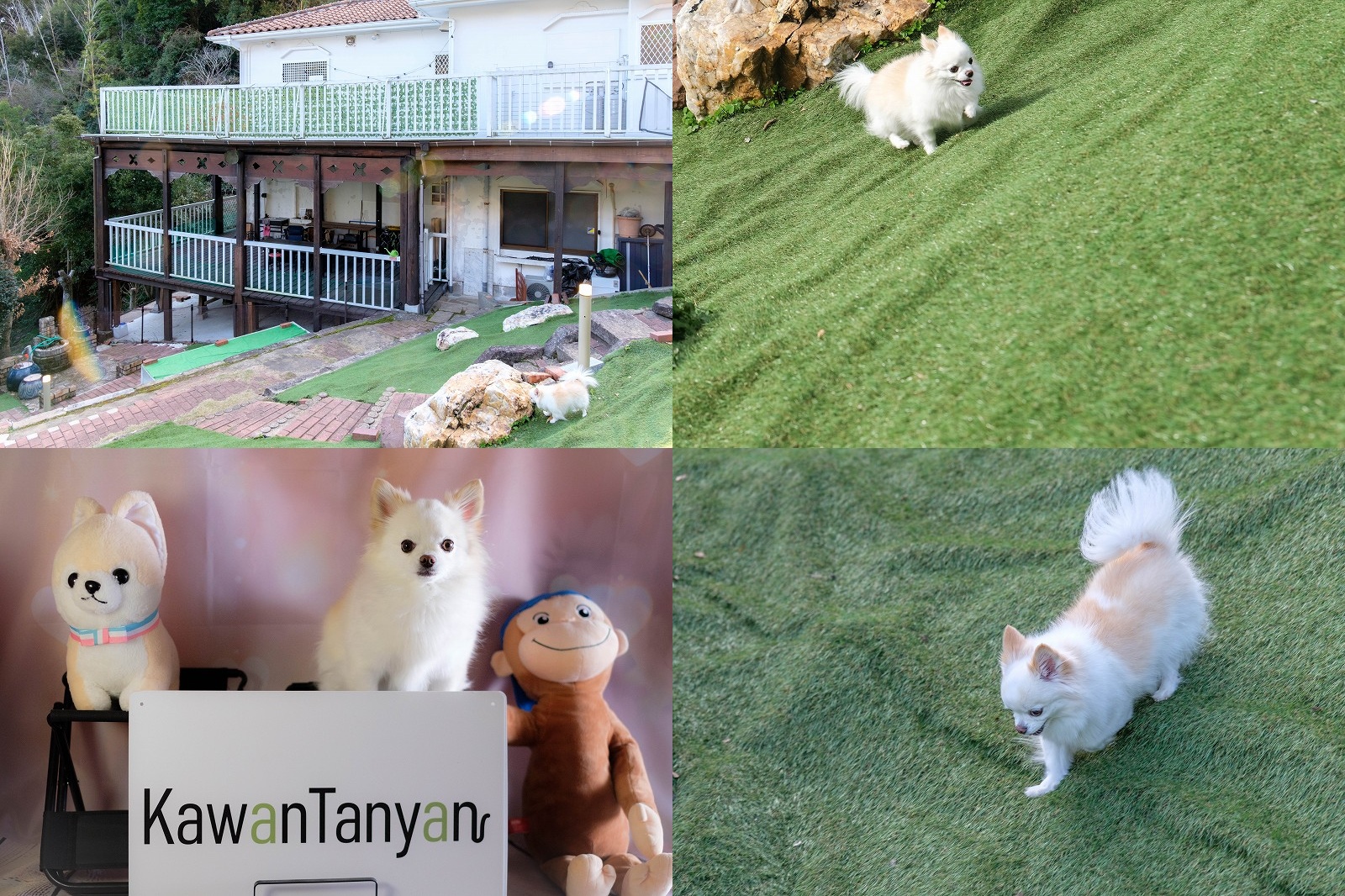 【犬と泊まれる宿】長崎県川棚町「KawanTanyanの宿」宿泊レビュー｜1Fドッグラン・撮影スタジオ・サウナ・BBQコーナー編