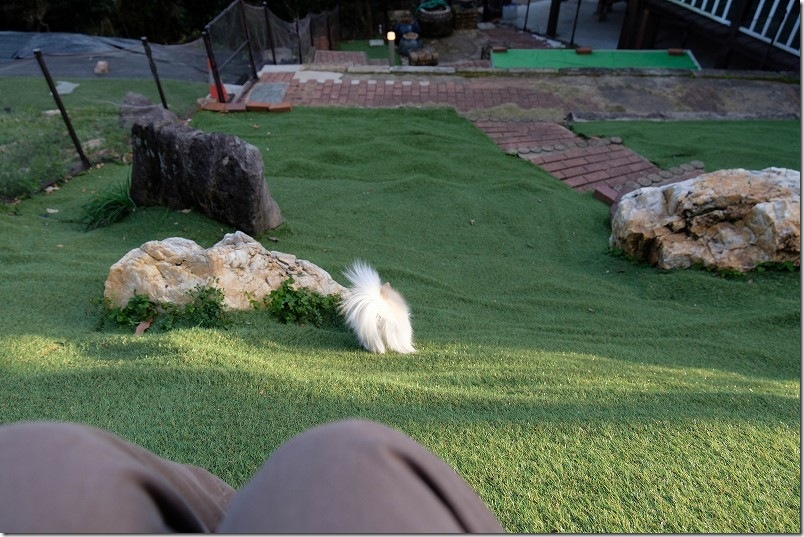 長崎県川棚町「KawanTanyanの宿」のドッグラン。かなりの傾斜