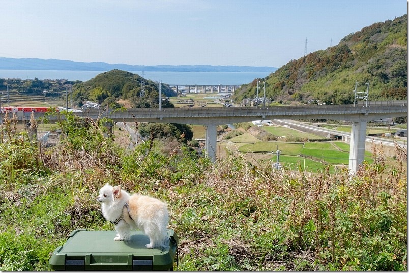 西九州新幹線かもめ「スーパーマリオトレイン」とチワワ・犬のコラボレーション写真 緑道豊穣の碑 展望所より(通過し始め) 西九州新幹線かもめ「スーパーマリオトレイン」とチワワ・犬のコラボレーション写真 緑道豊穣の碑 展望所より(通過し始め)