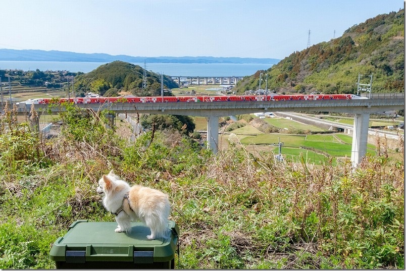 西九州新幹線かもめ「スーパーマリオトレイン」とチワワ・犬のコラボレーション写真 緑道豊穣の碑 展望所より(ベスト写真) 西九州新幹線かもめ「スーパーマリオトレイン」とチワワ・犬のコラボレーション写真 緑道豊穣の碑 展望所より(ベスト写真)