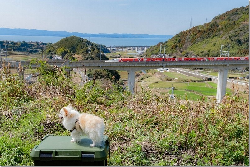 西九州新幹線かもめ「スーパーマリオトレイン」とチワワ・犬のコラボレーション写真 緑道豊穣の碑 展望所より(通過後半) 西九州新幹線かもめ「スーパーマリオトレイン」とチワワ・犬のコラボレーション写真 緑道豊穣の碑 展望所より(通過後半)