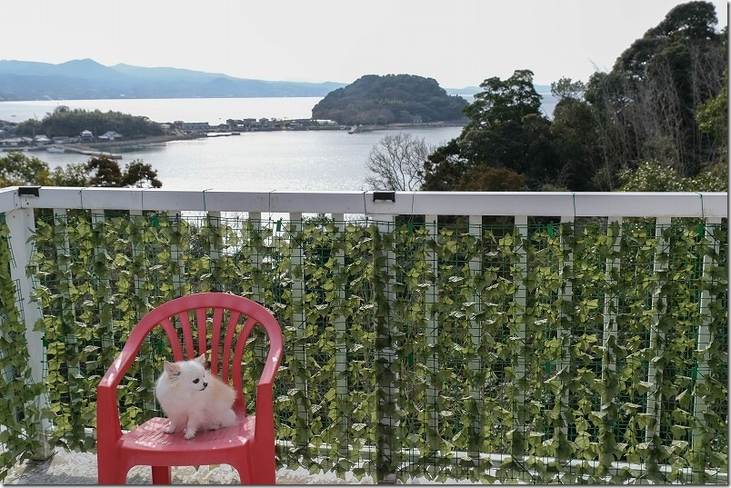 【犬と泊まれる宿】長崎川棚町「KawanTanyanの宿」に宿泊（海の見える宿）