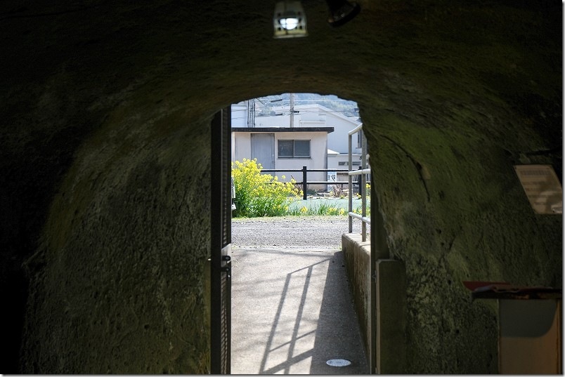 無窮洞をボランティアの方の説明で1周見学完了 3月は入口付近に菜の花