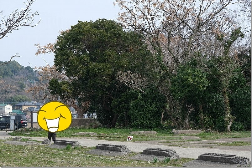 長崎の川棚町にある「片島魚雷発射試験場跡（片島公園）」 犬連れOK