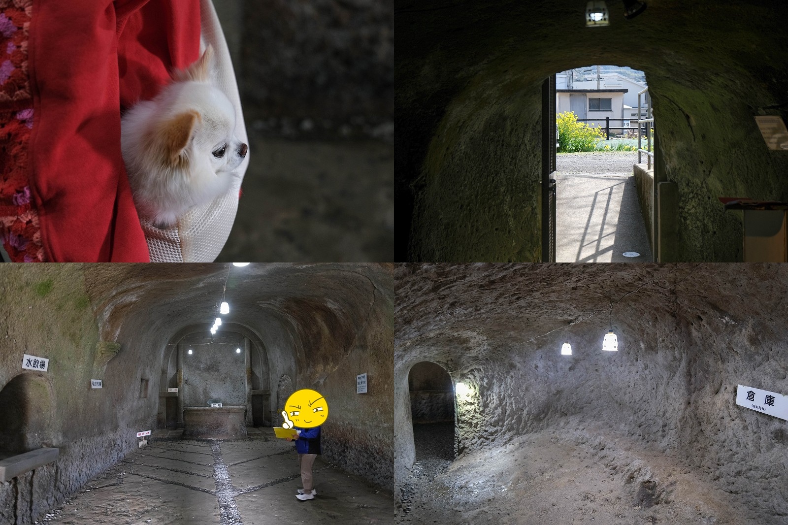 無窮洞（長崎・佐世保）｜児童が手掘りした地下教室を見学！所要時間と駐車場【犬連れOK?】