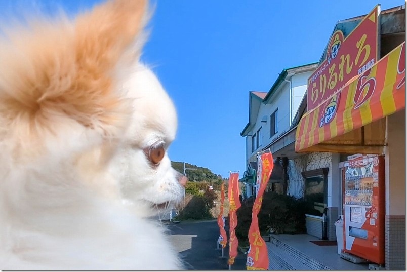 西海橋近くの佐世保バーガー店「らりるれろ 西海橋店」でテイクアウト、犬と待つ