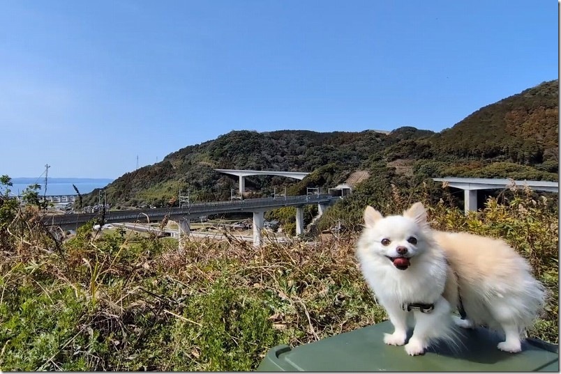 こむぎ(チワワ・犬)と西九州新幹線のコラボレーション写真にチャレンジ こむぎ(チワワ・犬)と西九州新幹線のコラボレーション写真にチャレンジ