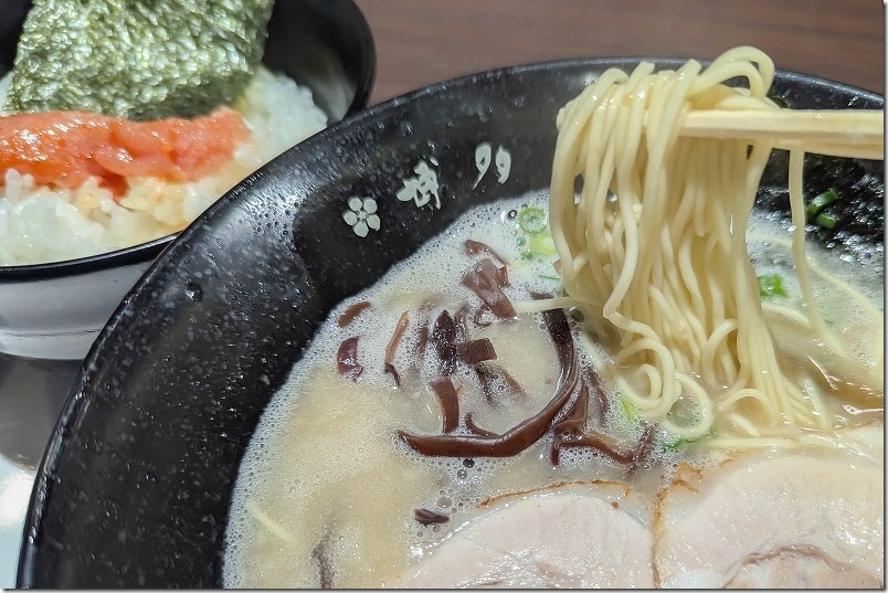 博多 一叶のランチセット 豚骨ラーメン（泡豚骨） 750円 麺