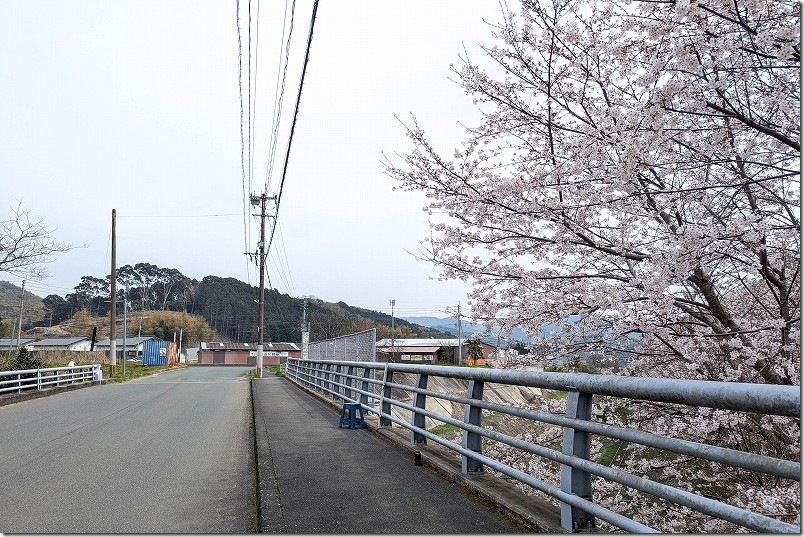 赤駅近くのメジャー撮影スポットへ到着（外山跨線橋の桜）