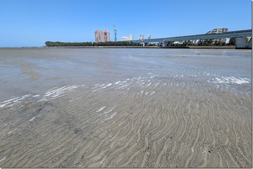 室見川で大潮の干潮時の潮の引き具合｜干潮前1時間