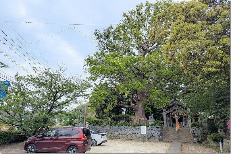 福岡県糸島市にある「六所神社」（本殿・大楠）