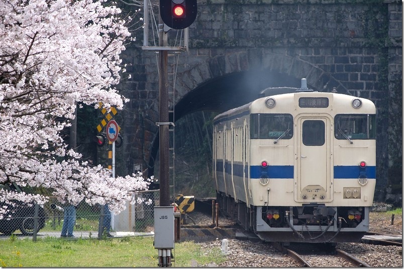 採銅所駅の田川方面のホーム端からから撮影。桜とトンネルに入る列車