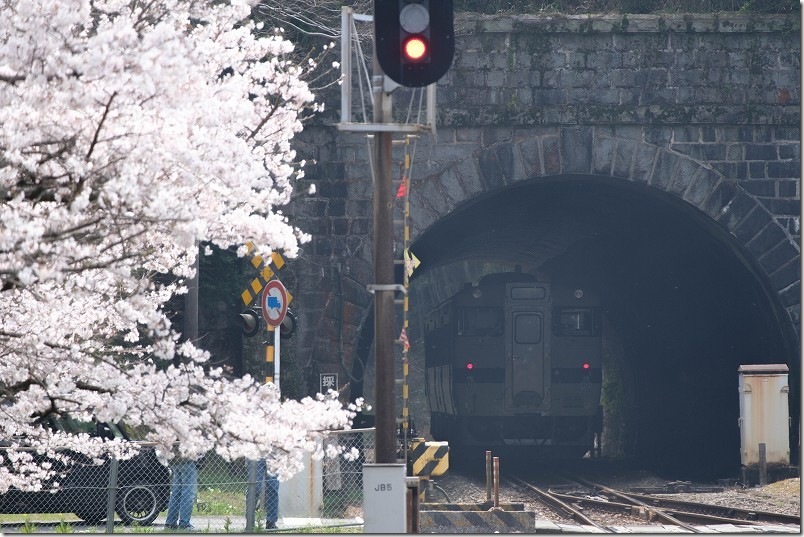 採銅所駅の田川方面のホーム端からから撮影。桜とトンネルに入った列車