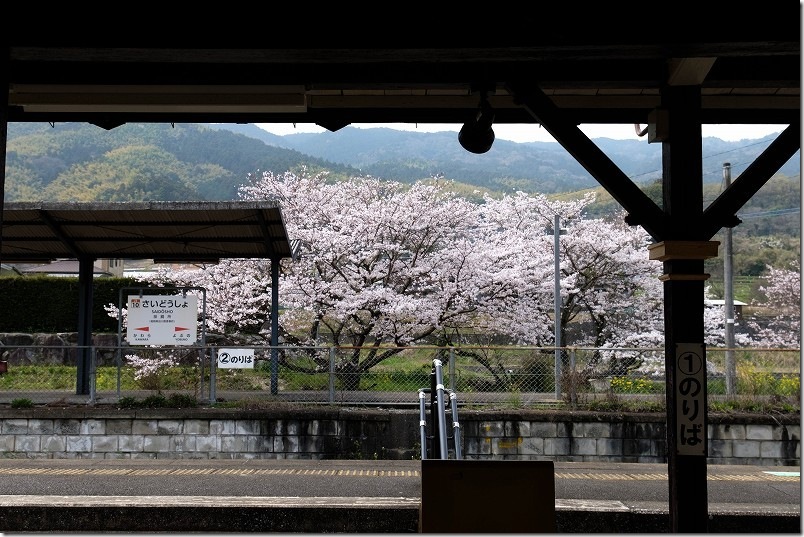 採銅所駅のホームと満開の桜