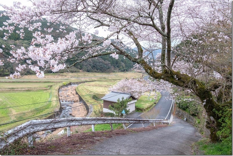 福岡県豊前市の大きな椅子・大きな机の駐車場への入口（Uターン禁止の坂道）