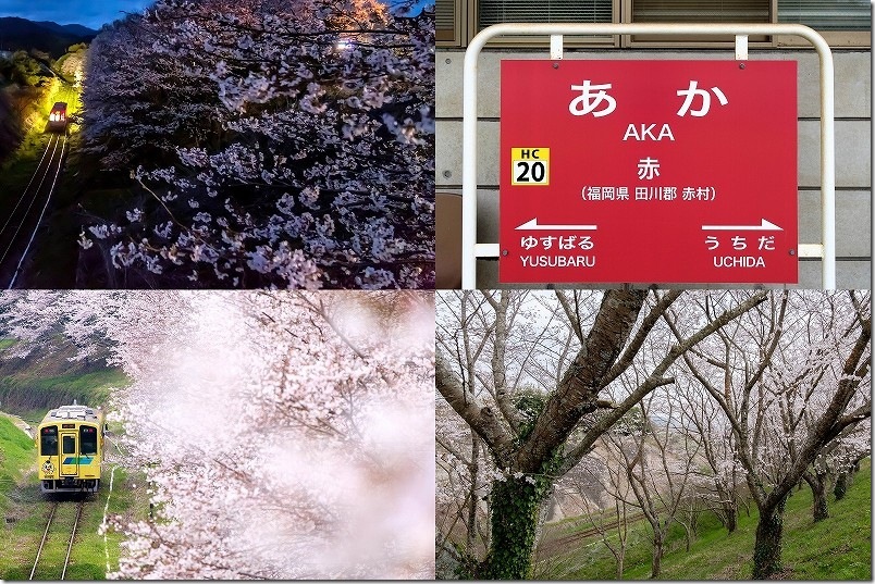 赤駅から徒歩すぐの場所にある外山跨線橋は、桜と列車を撮れる撮影スポットとしても有名