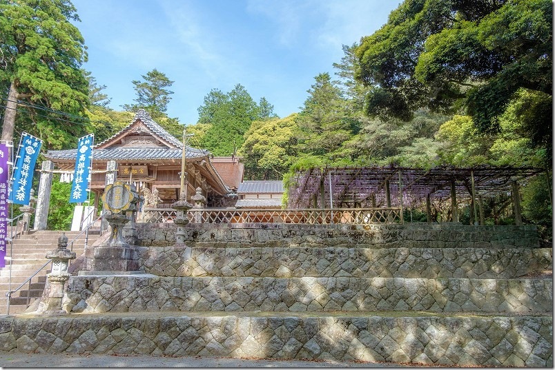高祖神社の藤棚と本殿