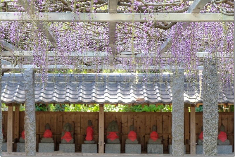 井原 住吉神社・明星寺跡の藤棚とお地蔵さん