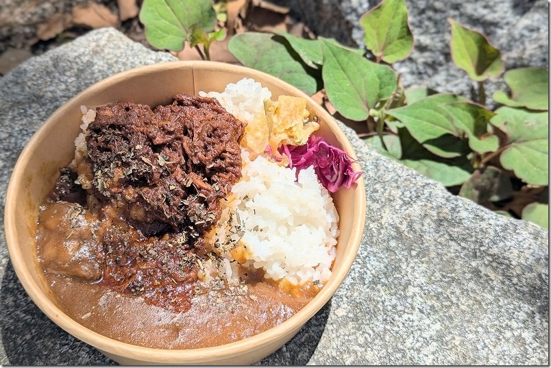鳥飼八幡宮 カレーフェスティバル BaseBombのパキスタンカレーと牛すじカレー｜あいがけカレー 1200円