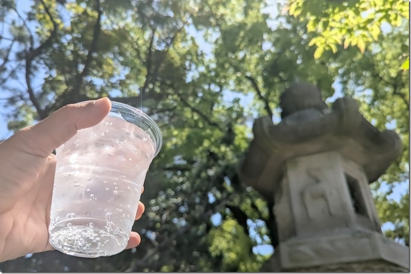 鳥飼八幡宮 カレーフェスティバル レモンサワー 500円