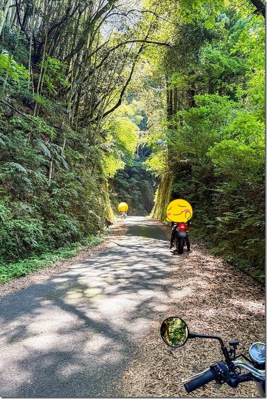 岩隈山の切通しをバイクで通る｜熊本県山鹿市