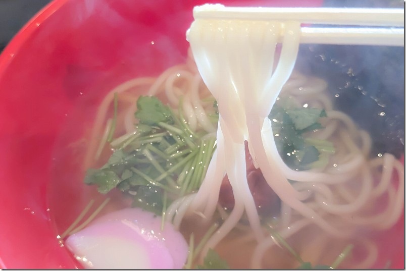 細麺、ツルツルコシ有り麺｜【実食】うどん豊前屋