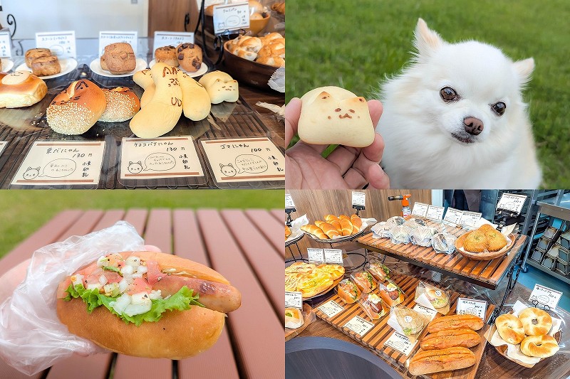 佐賀市「Bakery Aqua」レビュー｜100円台の猫パンがかわいすぎるパン屋さん！